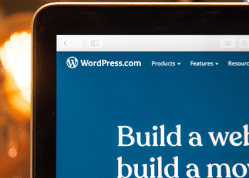 Best Professional WordPress Website Templates